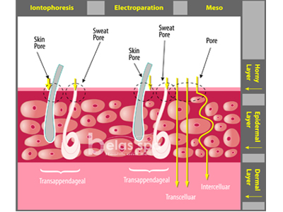 chanlong-ct.jpg